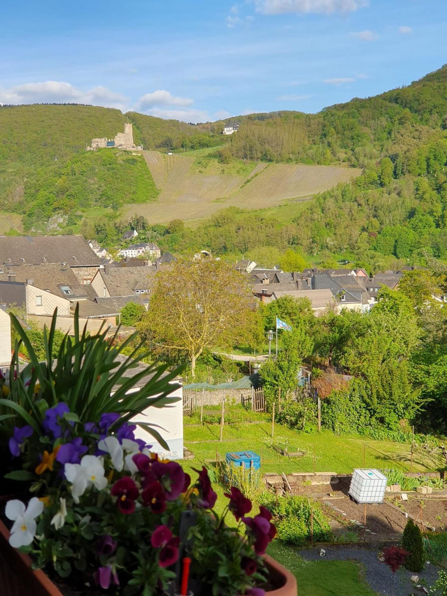 Ferienwohnung Bauer Bernkastel-Kues Dış mekan fotoğraf