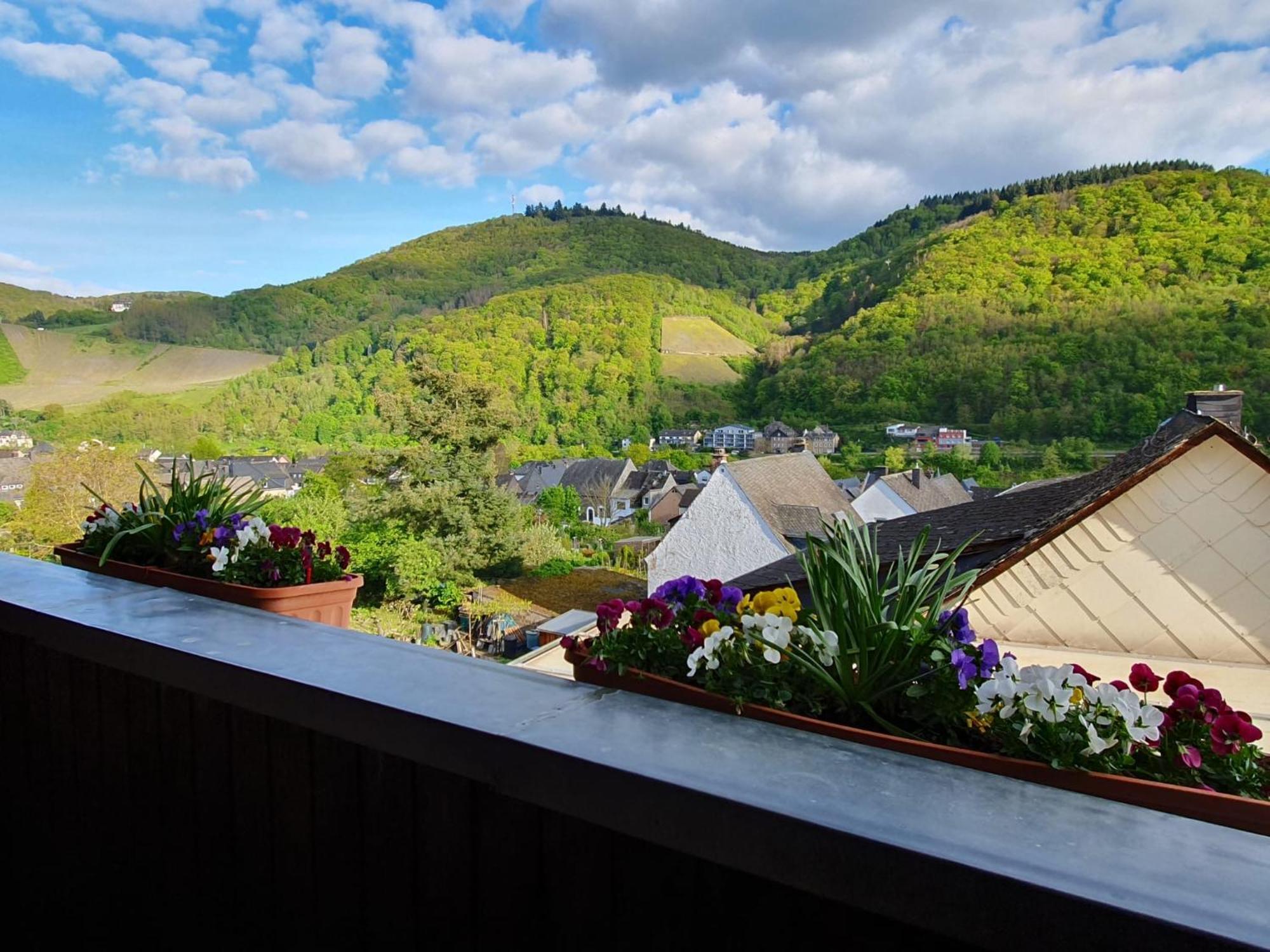Ferienwohnung Bauer Bernkastel-Kues Dış mekan fotoğraf